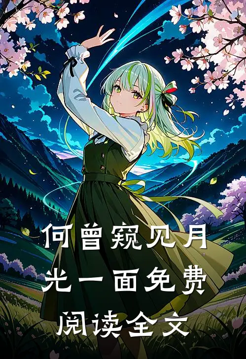 何曾窥见月光一面免费阅读全文