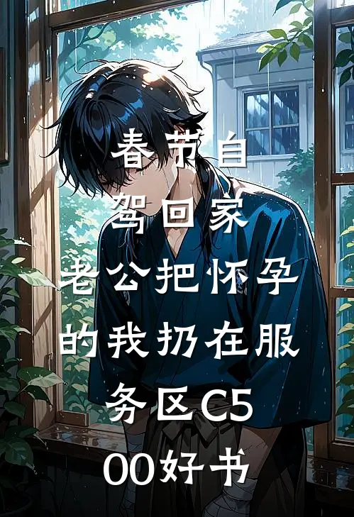春节自驾回家，老公把怀孕的我扔在服务区C500好书