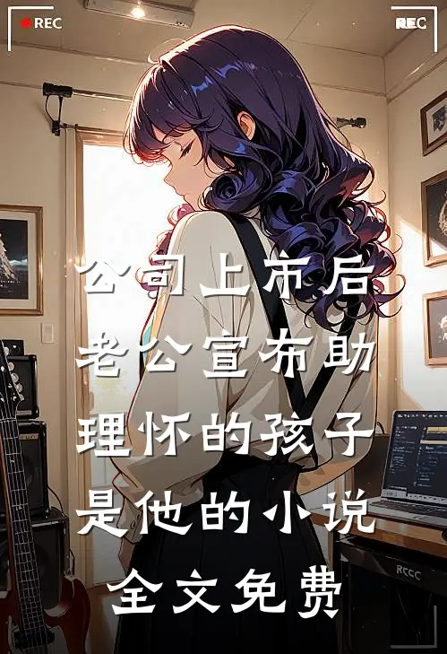 公司上市后，老公宣布助理怀的孩子是他的小说全文免费
