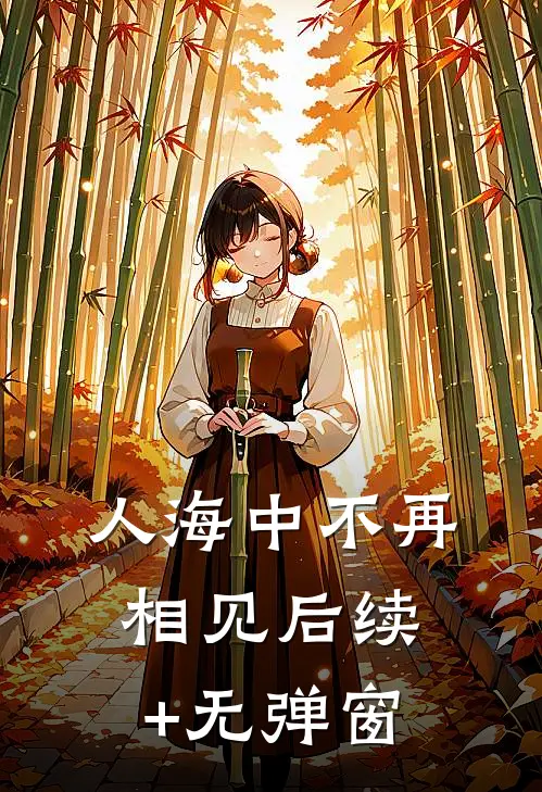 人海中不再相见后续+无弹窗