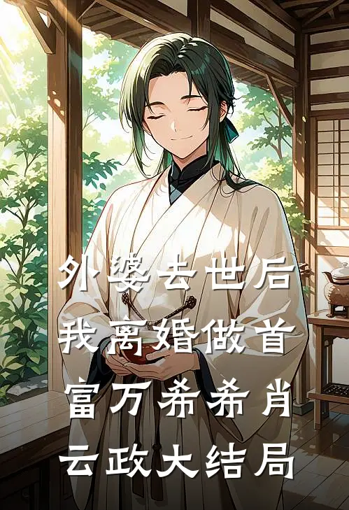 外婆去世后，我离婚做首富万希希肖云政大结局
