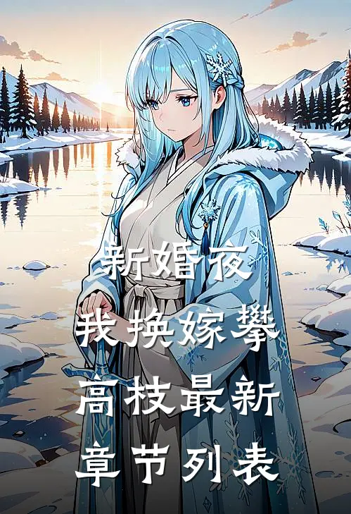 新婚夜，我换嫁攀高枝最新章节列表