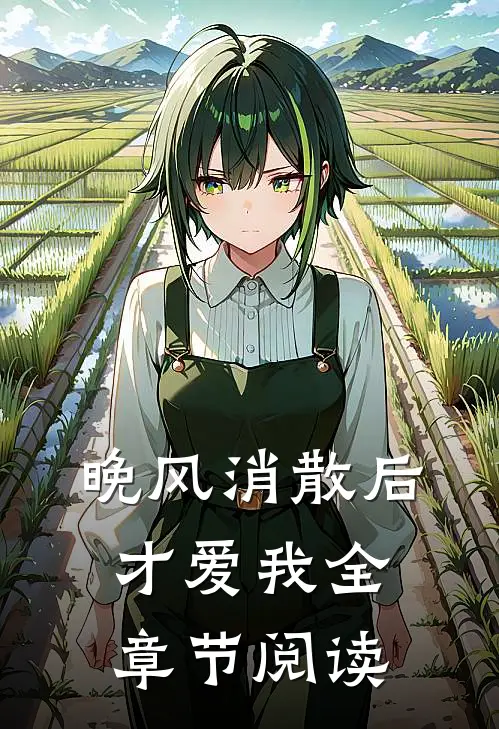 晚风消散后，才爱我全章节阅读