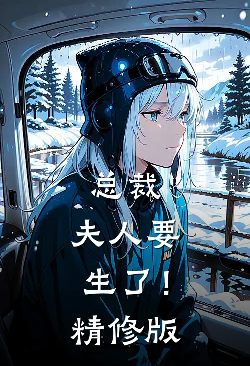 总裁，夫人要生了！精修版