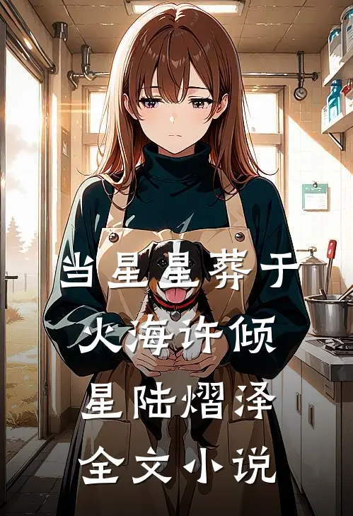 当星星葬于火海许倾星陆熠泽全文小说