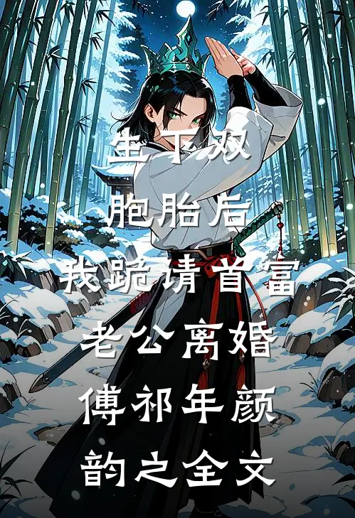 生下双胞胎后，我跪请首富老公离婚傅祁年颜韵之全文