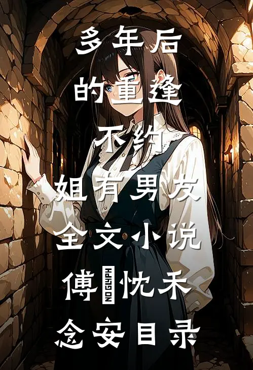 多年后的重逢，不约，姐有男友全文小说傅璟忱禾念安目录