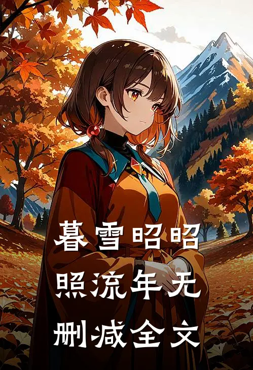 暮雪昭昭照流年无删减全文