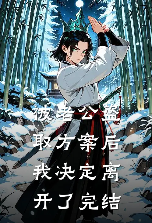 被老公盗取方案后，我决定离开了完结