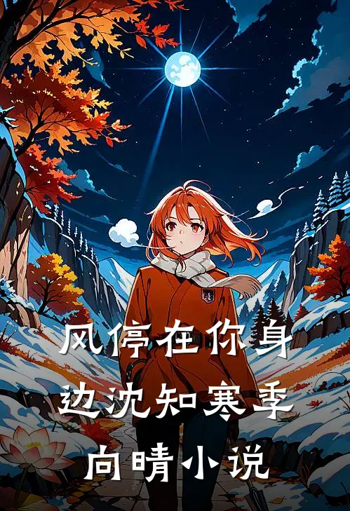 风停在你身边沈知寒季向晴小说