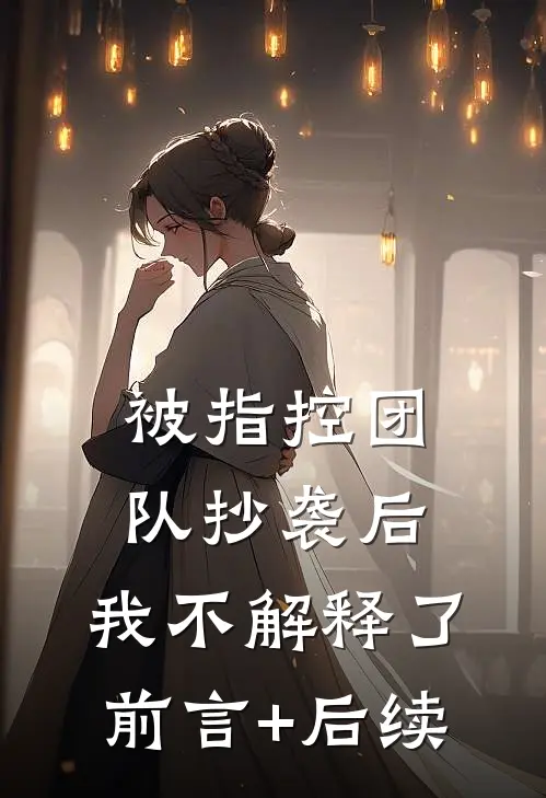 被指控团队抄袭后，我不解释了前言+后续