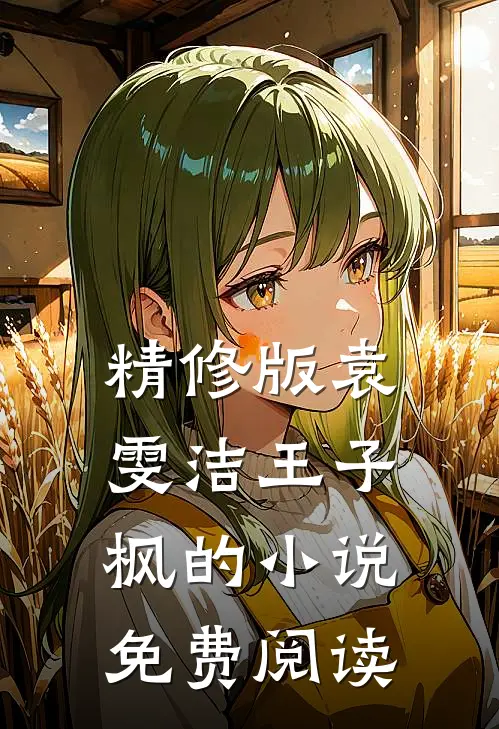 精修版袁雯洁王子枫的小说免费阅读