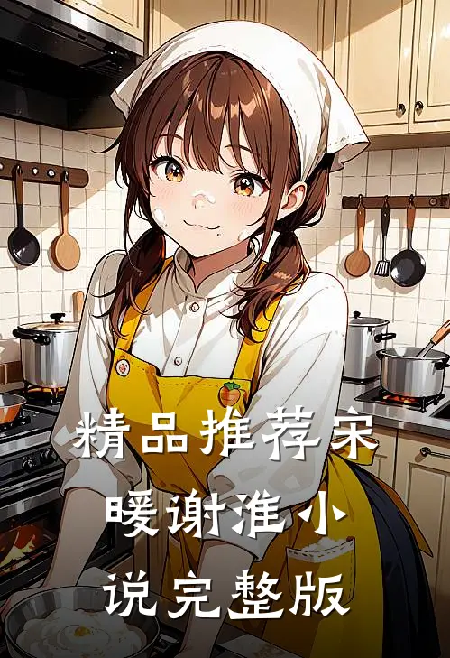 精品推荐宋暖谢淮小说完整版