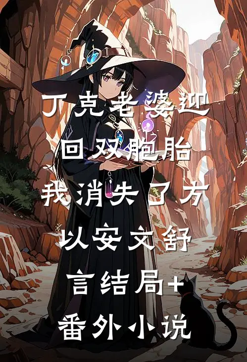 丁克老婆迎回双胞胎，我消失了方以安文舒言结局+番外小说