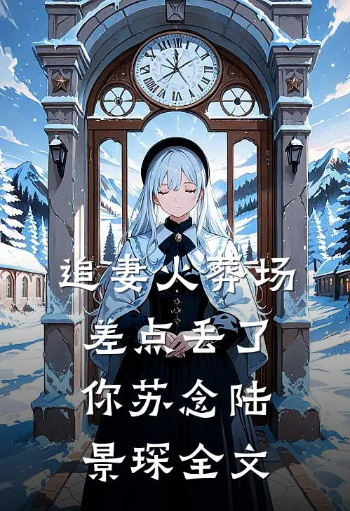 追妻火葬场，差点丢了你苏念陆景琛全文