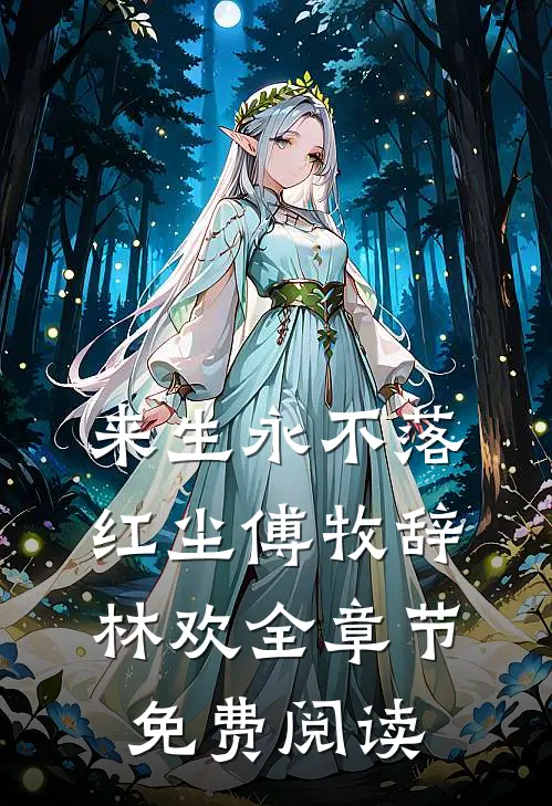 来生永不落红尘傅牧辞林欢全章节免费阅读