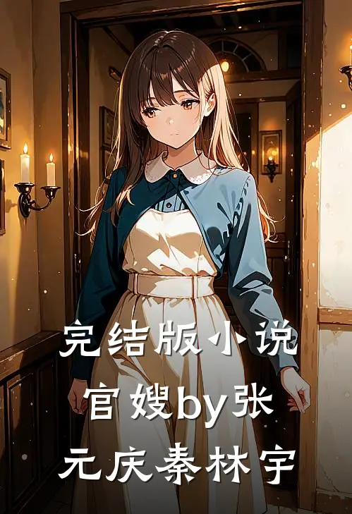 完结版小说官嫂by张元庆秦林宇