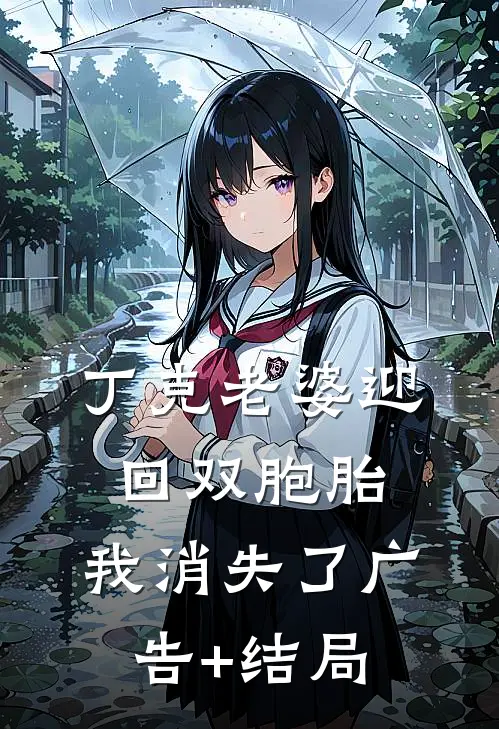 丁克老婆迎回双胞胎，我消失了广告+结局