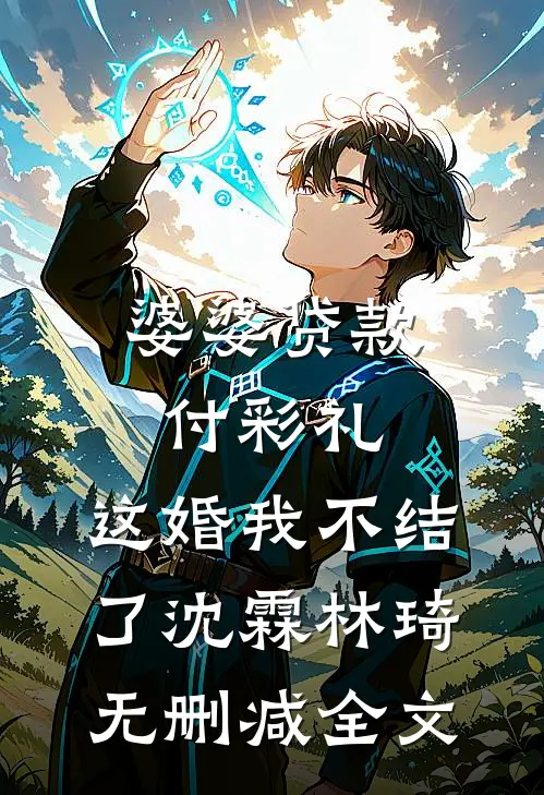 婆婆贷款付彩礼，这婚我不结了沈霖林琦无删减全文