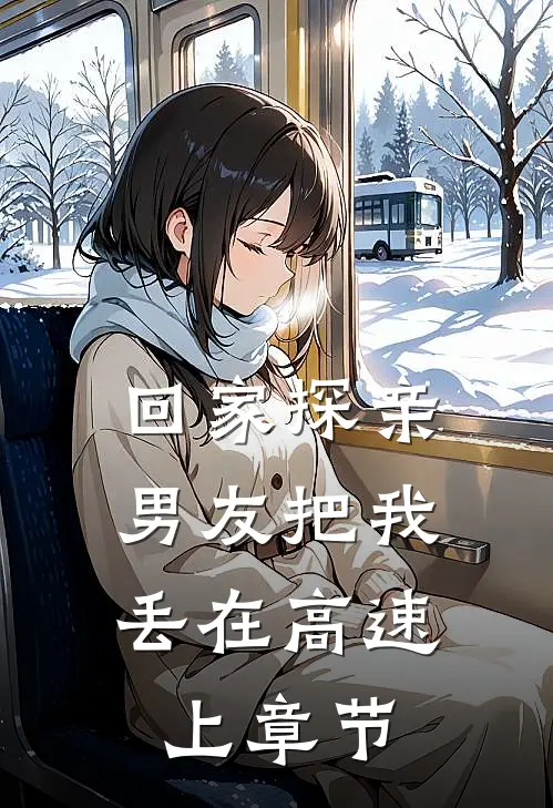回家探亲，男友把我丢在高速上章节