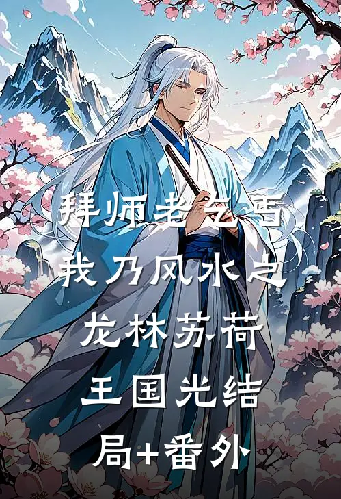 拜师老乞丐：我乃风水之龙林苏荷王国光结局+番外