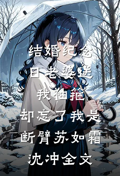 结婚纪念日老婆送我袖箍，却忘了我是断臂苏如霜沈冲全文
