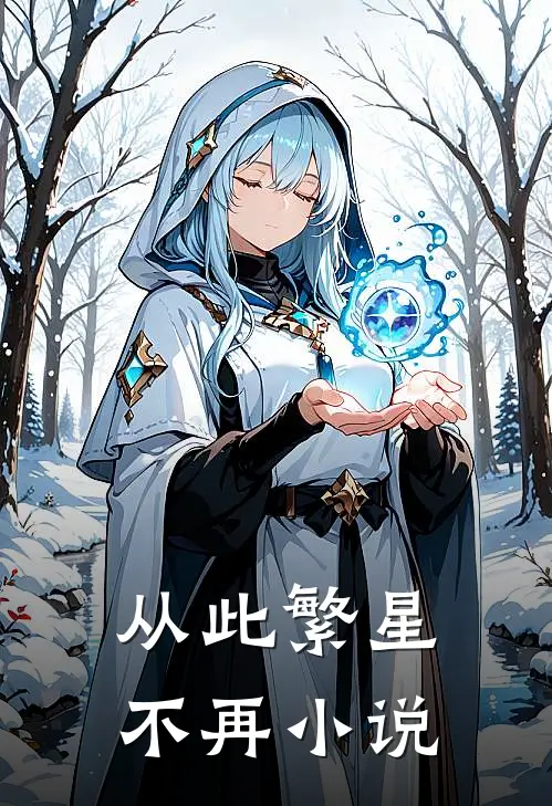 从此繁星不再小说