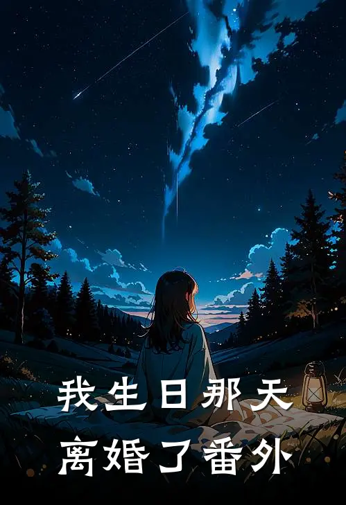 我生日那天，离婚了 番外