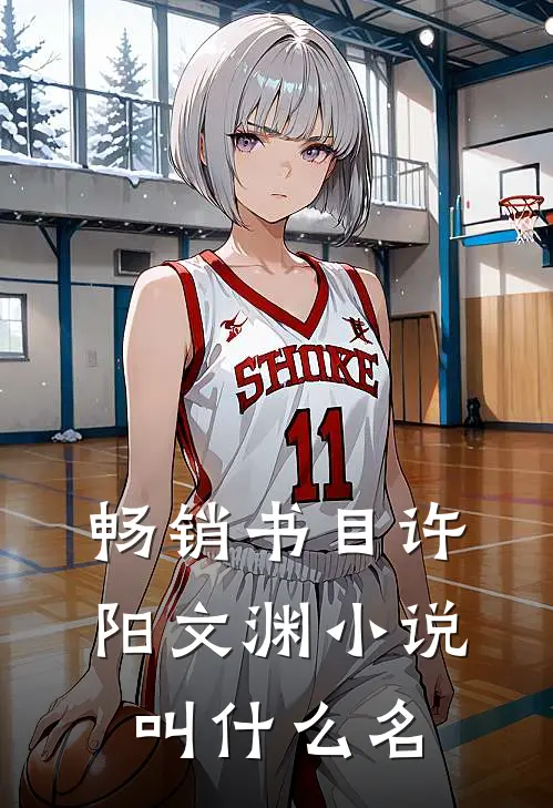 畅销书目许阳文渊小说叫什么名