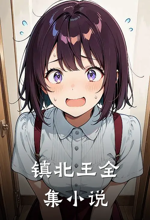 镇北王全集小说