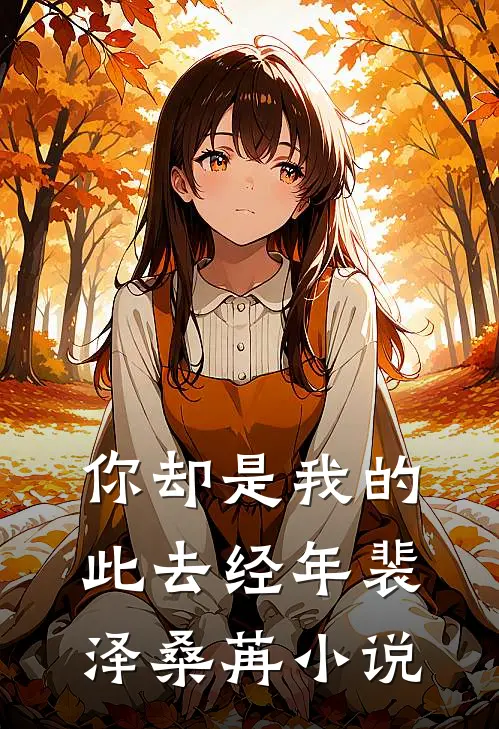 你却是我的此去经年裴泽桑苒小说