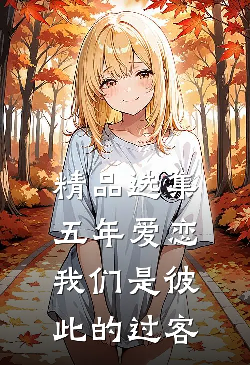精品选集五年爱恋，我们是彼此的过客