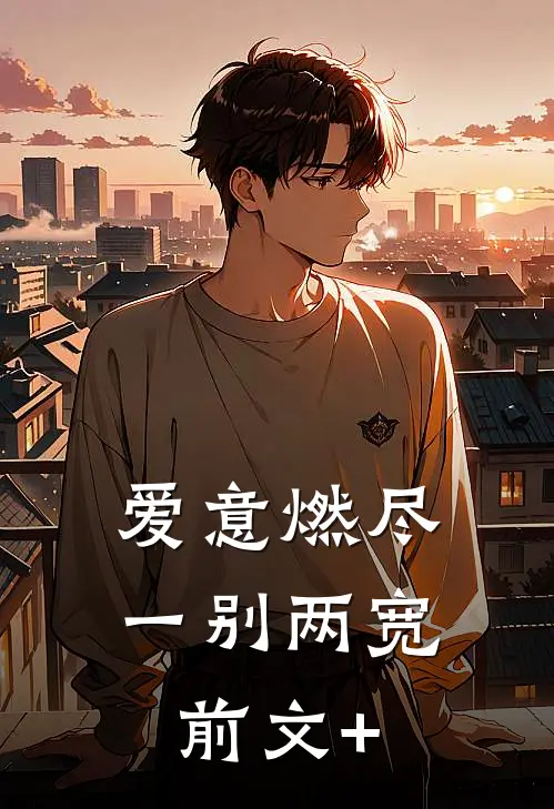 爱意燃尽，一别两宽前文+