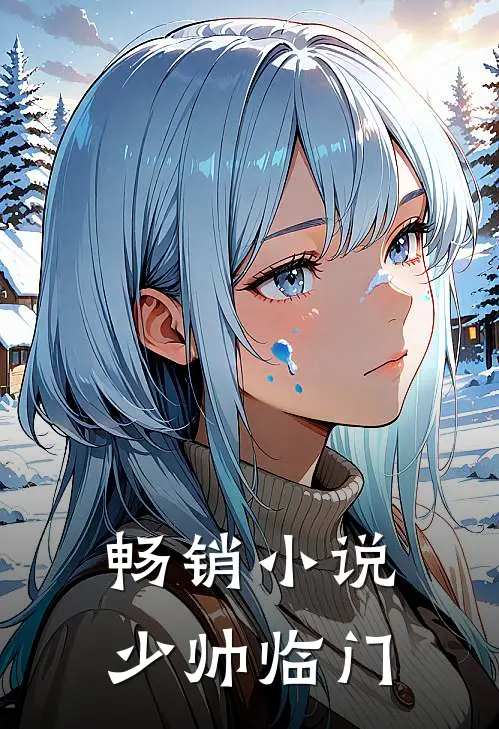 畅销小说少帅临门