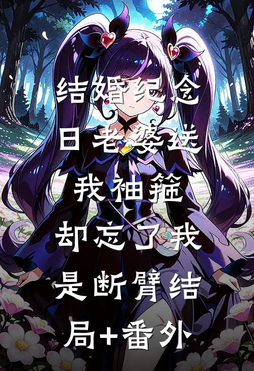 结婚纪念日老婆送我袖箍，却忘了我是断臂结局+番外