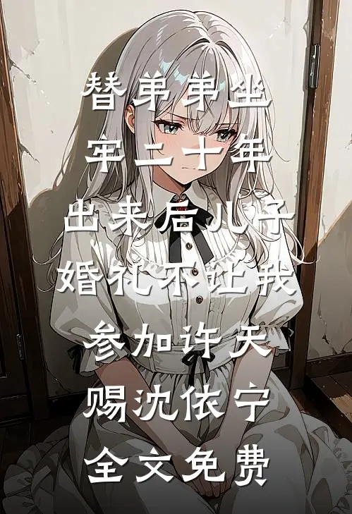 替弟弟坐牢二十年，出来后儿子婚礼不让我参加许天赐沈依宁全文免费