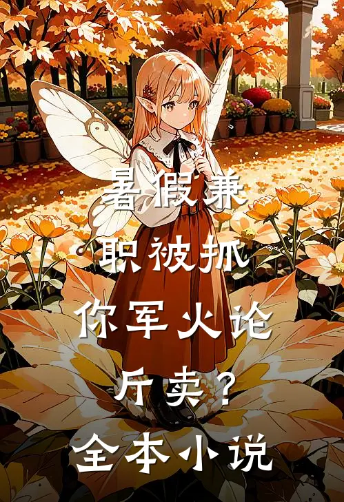 暑假兼职被抓，你军火论斤卖？全本小说