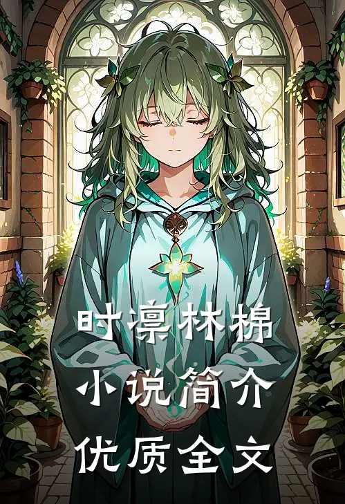 时凛林棉小说简介优质全文