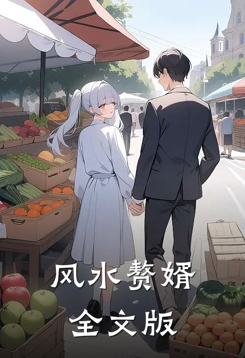 风水赘婿全文版