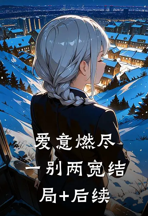 爱意燃尽，一别两宽结局+后续