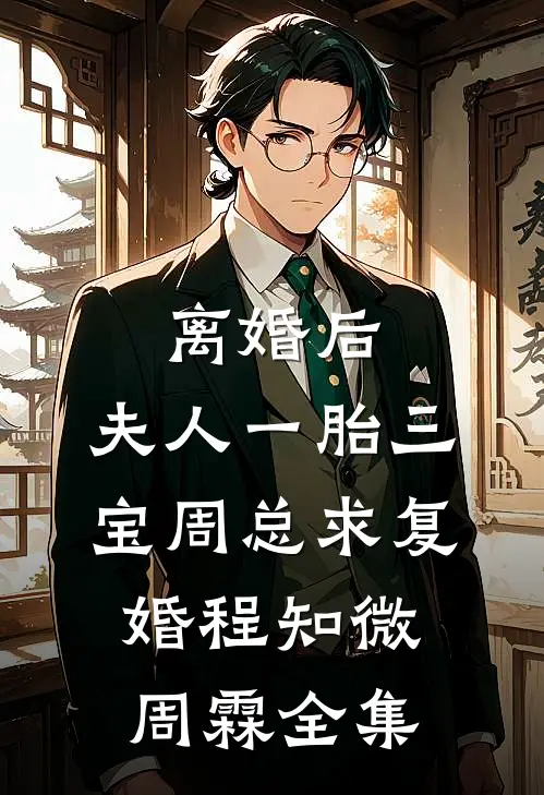 离婚后，夫人一胎三宝周总求复婚程知微周霖 全集