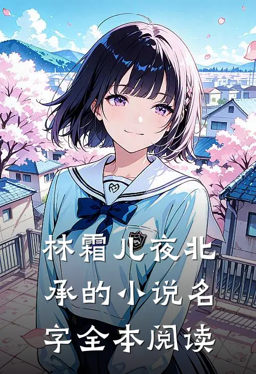 林霜儿夜北承的小说名字全本阅读
