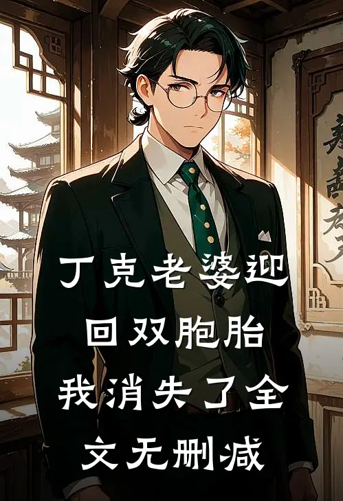丁克老婆迎回双胞胎，我消失了全文无删减