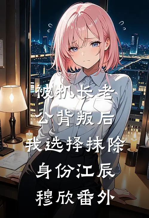 被机长老公背叛后，我选择抹除身份江辰穆欣番外