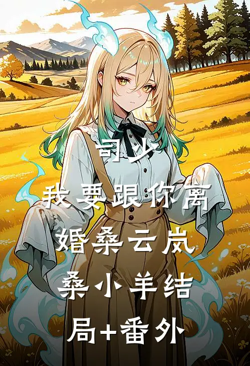 司少，我要跟你离婚桑云岚桑小羊结局+番外