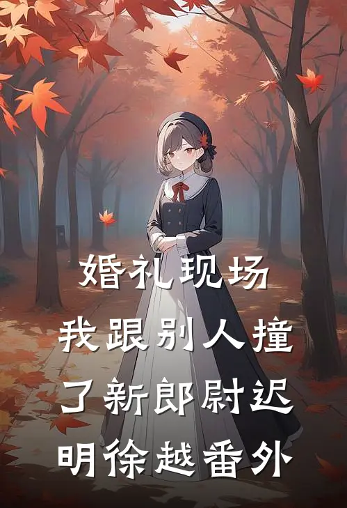 婚礼现场，我跟别人撞了新郎尉迟明徐越 番外