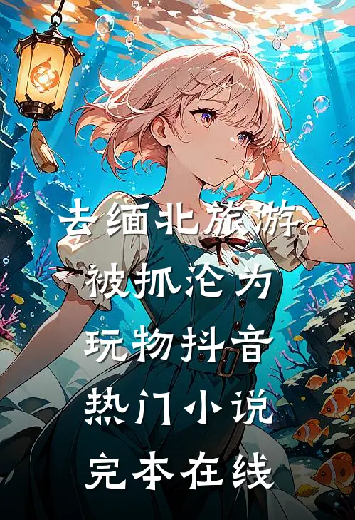 去缅北旅游被抓沦为玩物抖音热门小说完本在线
