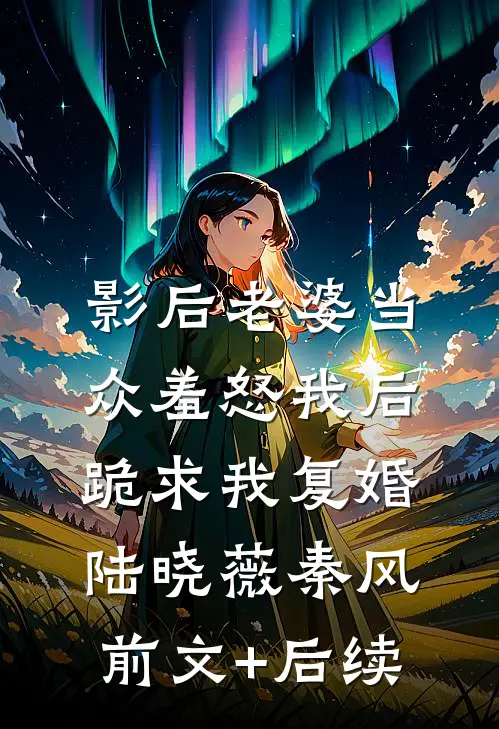 影后老婆当众羞怒我后，跪求我复婚陆晓薇秦风前文+后续