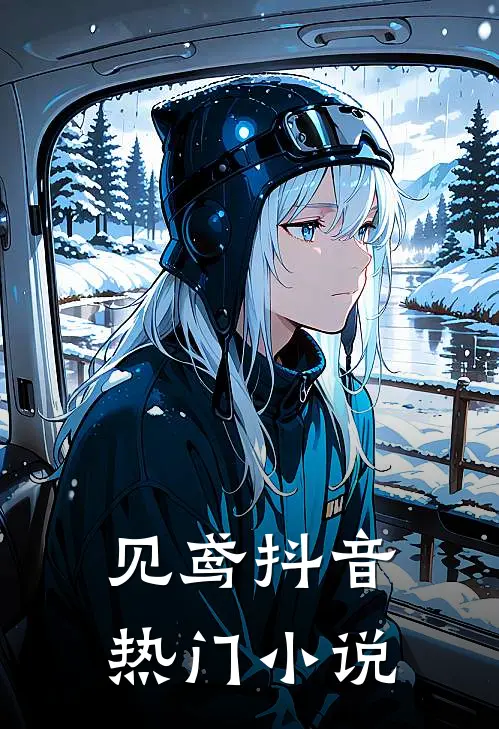 见鸢抖音热门小说