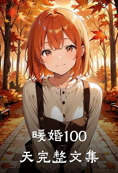 暖婚100天完整文集